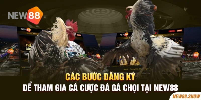 Các bước đăng ký để tham gia cá cược đá gà chọi tại New88